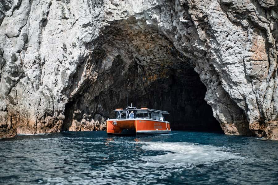 Cathedral Cove Coast and Cave Tour - A modern boat makes the whole day easier (toilet, shower, and room to move)