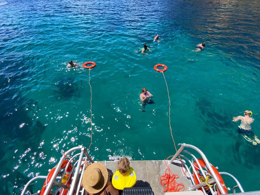 Cathedral Cove Coast and Cave Tour - Orua Sea Cave and Champagne Rocks: where the coastline turns into a story