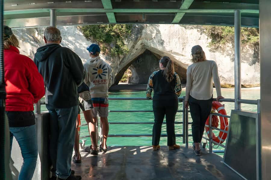 Cathedral Cove Coast and Cave Tour - Dolphins, seals, and the small surprises you might see