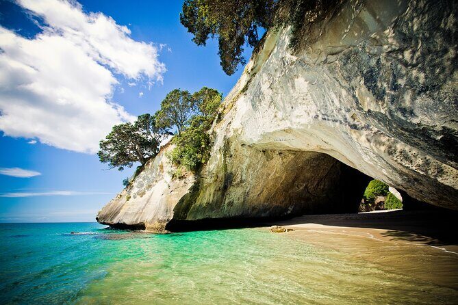 Cathedral Cove & Coromandel Peninsula Small-Group Day Tours - Early pickup from Auckland: the 6:30 am reality
