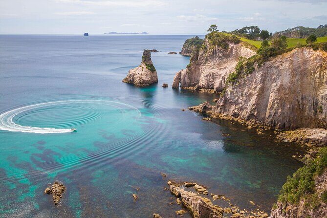 Cathedral Cove & Coromandel, Small-Group Tour from Auckland - Why This Coromandel Day Trip Starts So Early