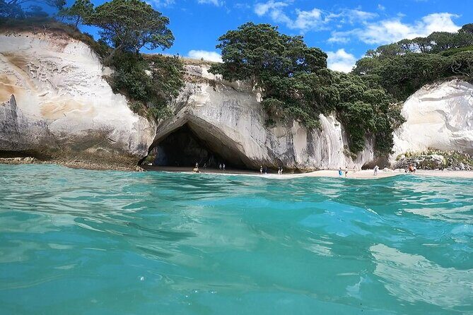 Cathedral Cove & Coromandel, Small-Group Tour from Auckland - Who This Tour Fits Best (and Who Should Skip It)