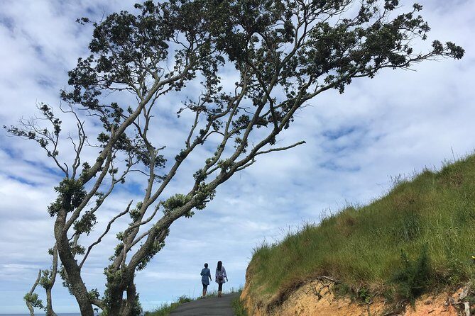 Cathedral Cove Day Trip from Auckland - Key highlights that make this tour worth a look