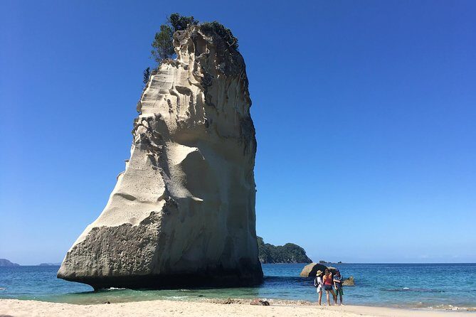 Cathedral Cove Day Trip from Auckland - Coromandel in one day: what you’re really signing up for