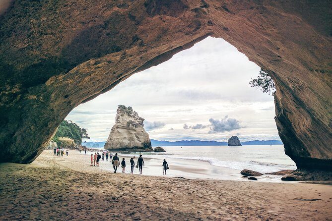 Cathedral Cove Day Trip from Auckland - Hot Water Beach: the foot-dip stop that breaks up the drive