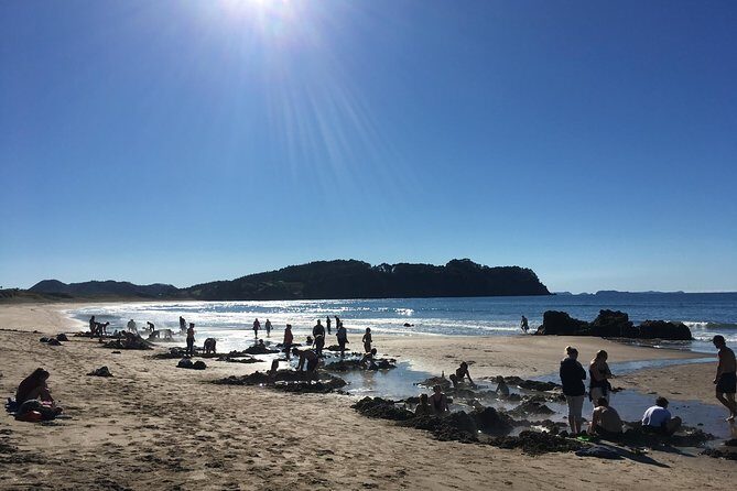 Cathedral Cove Day Trip from Auckland - Mt Paku: the extinct-volcano viewpoint that needs only a little effort