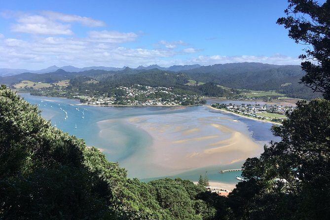 Cathedral Cove Day Trip from Auckland - Price and value: what $242 buys you (and what it doesn’t)