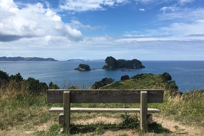 Cathedral Cove Day Trip from Auckland - Weather reality: an all-weather tour with a weather-dependent feel
