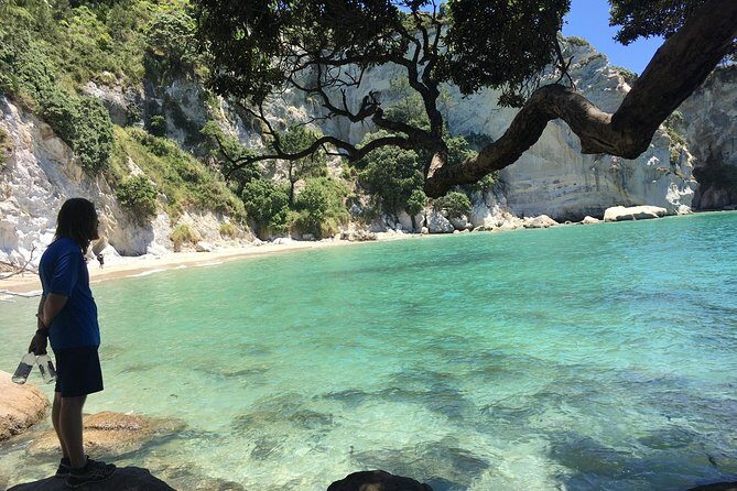 Cathedral Cove Day Trip from Auckland - Pickup, timing, and the small-group pace from Auckland