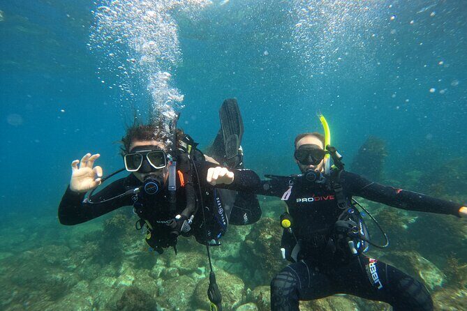 Cathedral Cove Dive & Snorkel- Marine Reserve specialised trips - Gear deal: keeping the snorkel equipment for the rest of the day