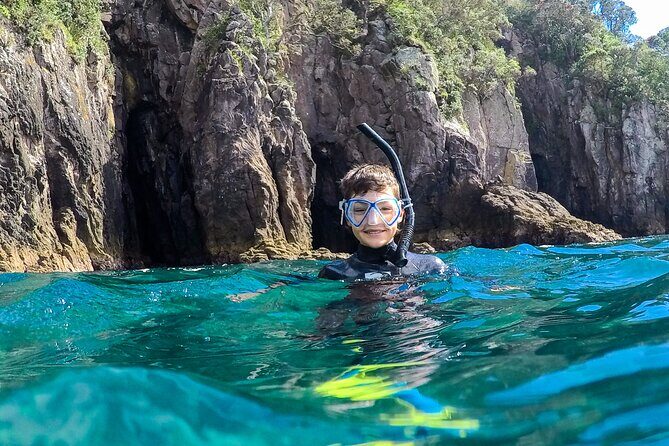 Cathedral Cove Dive & Snorkel- Marine Reserve specialised trips - Price and value: $98.67 for a guided boat hour in a marine reserve