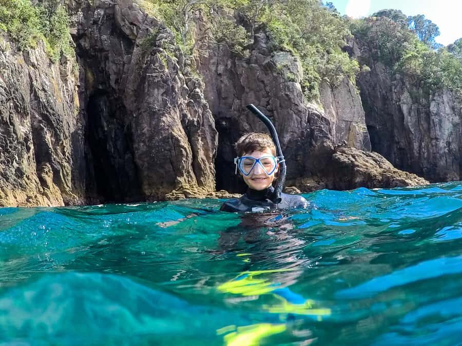 Cathedral Cove Marine Reserve: Snorkeling Boat Trip - Key things to know before you go