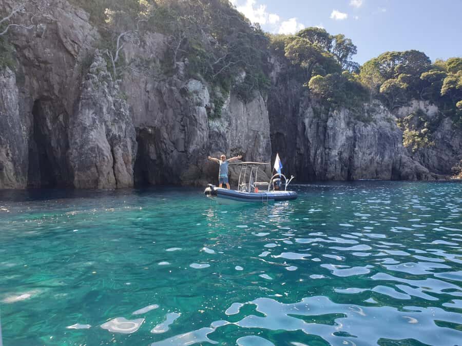 Cathedral Cove Marine Reserve: Snorkeling Boat Trip - Marine life spotting: how to actually enjoy the big moments