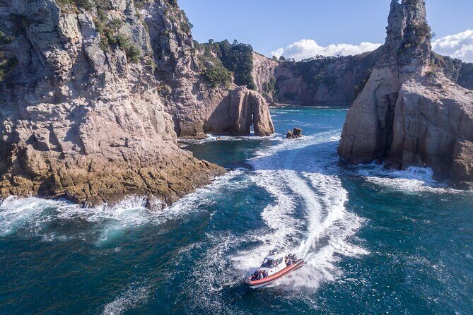 Cathedral Cove Scenic Cruises Whitianga - Quick hits: what makes this cruise feel worth the money
