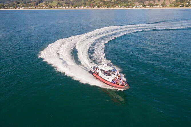 Cathedral Cove Scenic Cruises Whitianga - Orua Sea Cave and Cook’s Blowhole: geology you can spot fast