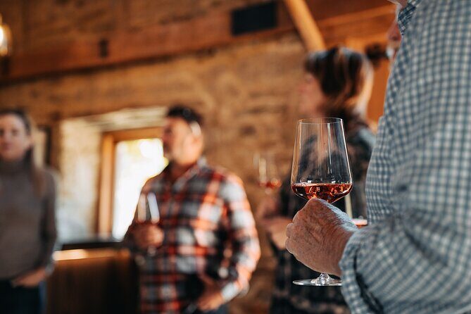Central Otago Wine Tour Small Group, Expert Guide & Scenic Views - Lunch Strategy: How to Stay Comfortable and Still Taste Well