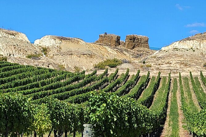 Central Otago Wine Tour Small Group, Expert Guide & Scenic Views - Who This Tour Suits Best (and Who Might Want Something Different)