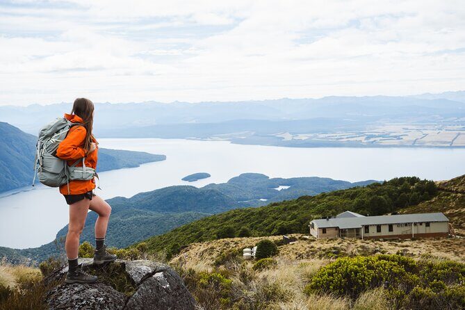 Champagne Sightseeing Cruise on Lake Te Anau - Fiordland Views Without the Sweat: Why the Lake Works So Well