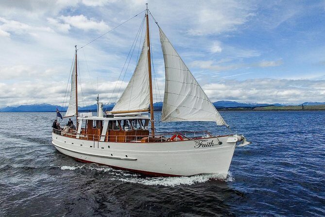 Champagne Sightseeing Cruise on Lake Te Anau - Your 6pm Window: What Happens on the 1h 30m Cruise