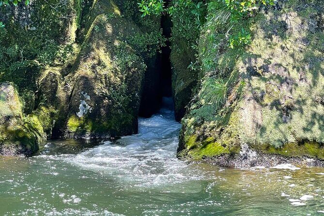 Chasing Waterfalls The Adventurer from Kinloch Marina - Karangahape Cliffs: the quick dramatic drop-off