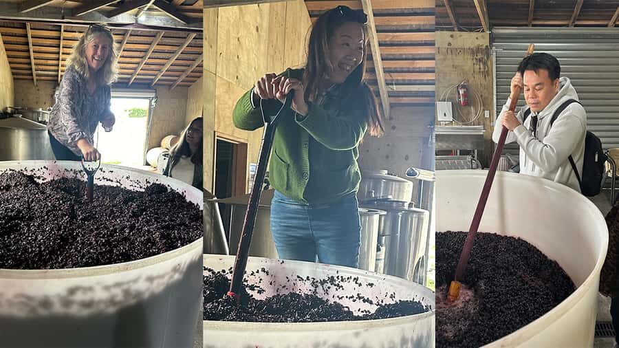 Chefs Private Martinborough wine tour with Gourmet Lunch - Stop-by-stop: what happens once you reach Martinborough