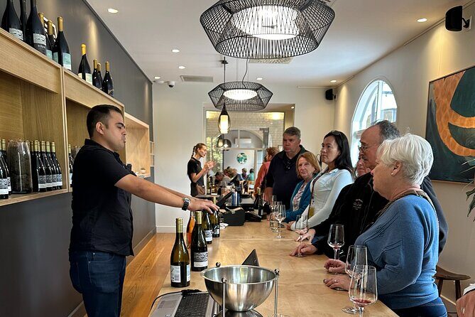Chefs Private Martinborough Wine Tour with lunch from Wellington - Coney Wines for Lunch: 7 Tastings and a Real Meet-the-Maker Moment