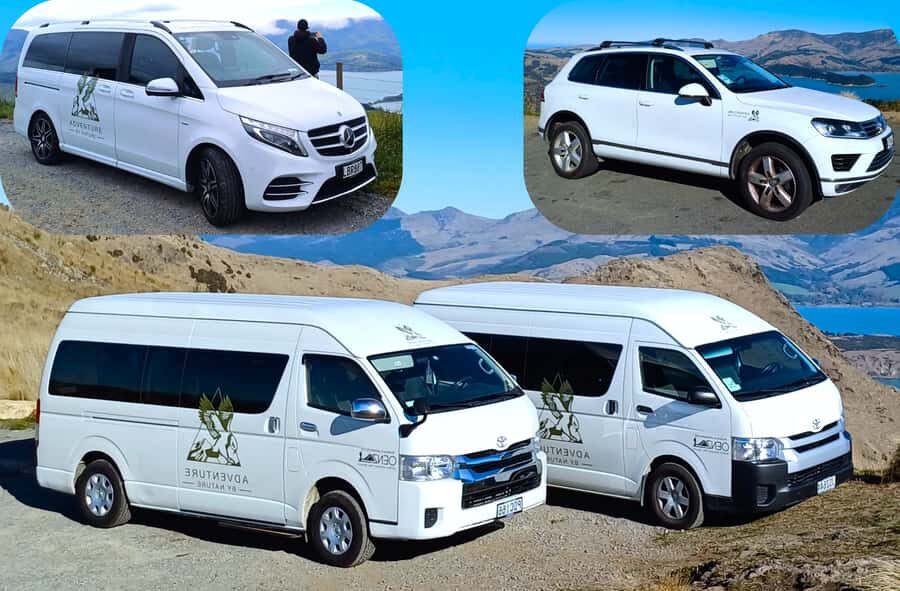 Christchurch: 1/2-Day Scenic Highlights Small Group Tour - Who This Tour Fits Best (and Who Might Want More Time)