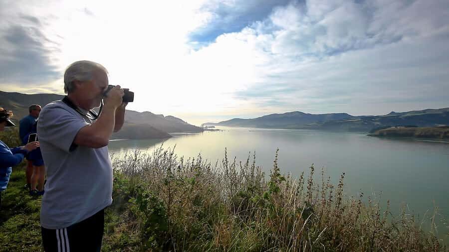 Christchurch: 1/2-Day Scenic Highlights Small Group Tour - Sumner Beach: Village Stroll, Coastal Walk Options, and a Relaxed Finish