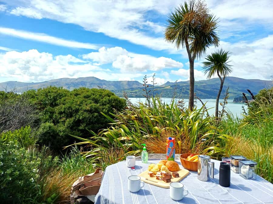 Christchurch: 1/2-Day Scenic Highlights Small Group Tour - The Sign of The Takahe: A Photo Stop With Character and Clear Views