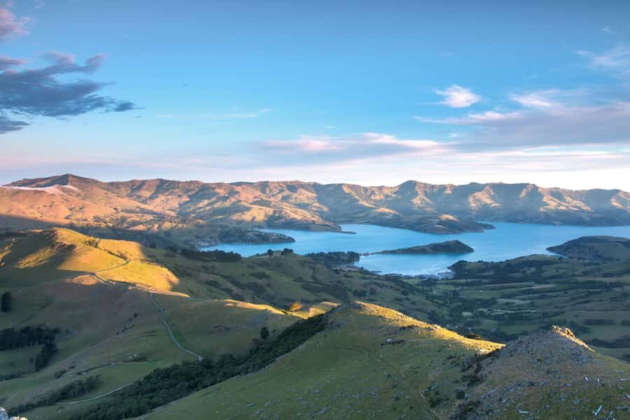Christchurch: Akaroa and Banks Peninsula Day Trip - The big decision: Giant’s House or a harbor nature cruise