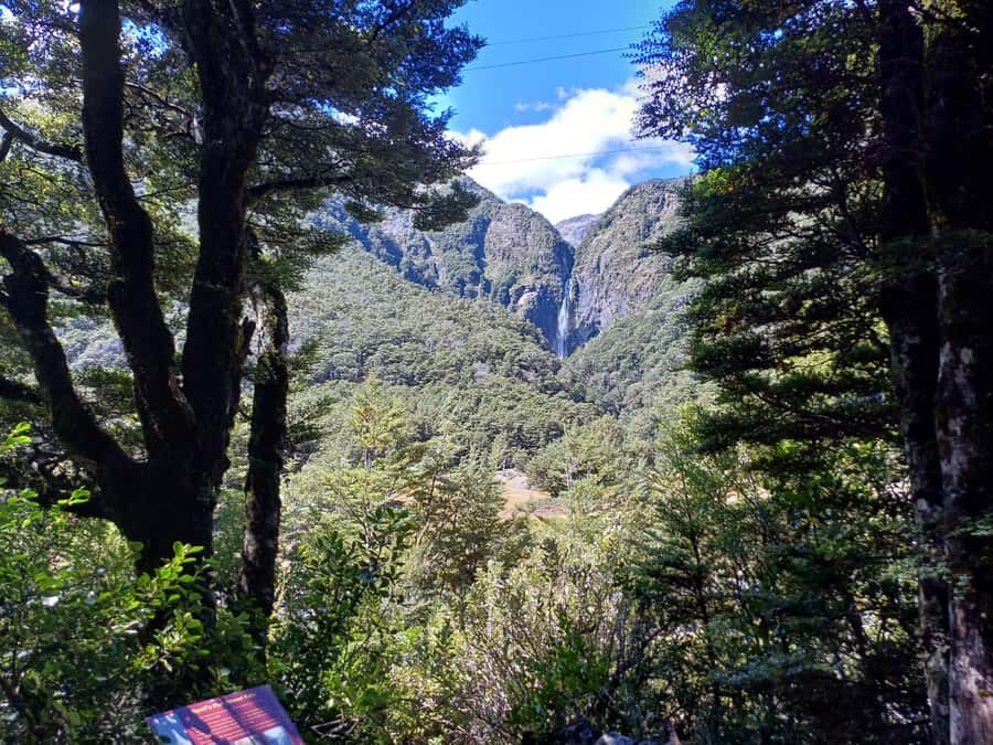 Christchurch: Arthur's Pass & Castle Hill Scenic Day Tour - Darfield Bakery Break and the Springfield Giant Donut Stop