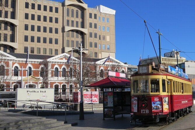 Christchurch City and Beaches Private Tesla Tour - Christchurch Cathedral and the Earthquake Reality Check