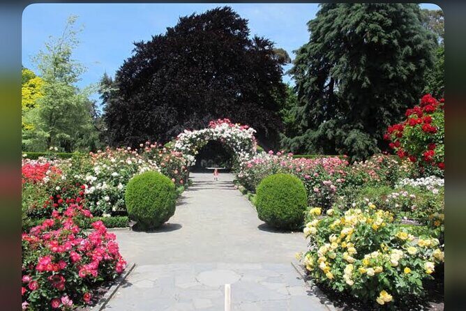 Christchurch City Full Day Private Tour - Christchurch Botanic Gardens: the one-hour nature break