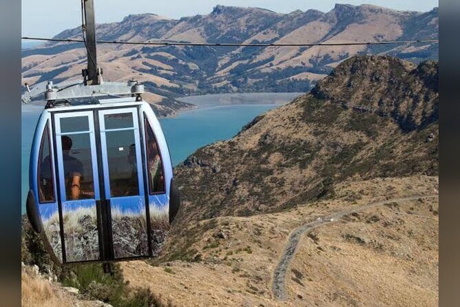 Christchurch City Full Day Private Tour - International Antarctic Centre: a big 2-hour indoor hit (tickets are yours)