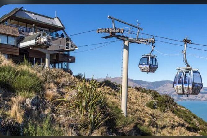 Christchurch City Full Day Private Tour - Pickup, mobile tickets, and staying comfortable for 8 hours