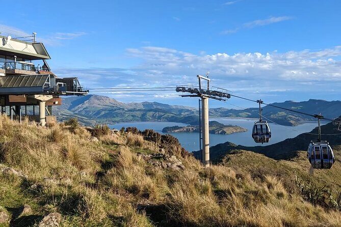 Christchurch City Full Day Tour - Christchurch Gondola: 360° city, harbor, and beyond