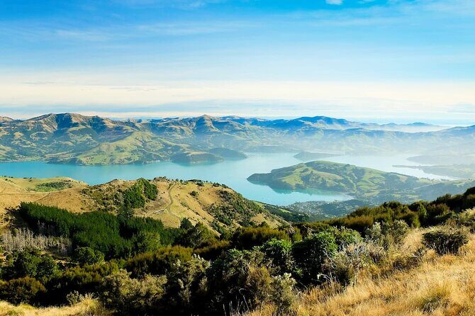 Christchurch City Highlights Half Day Tour - Price and value: what $114.81 buys (and what you should plan for)
