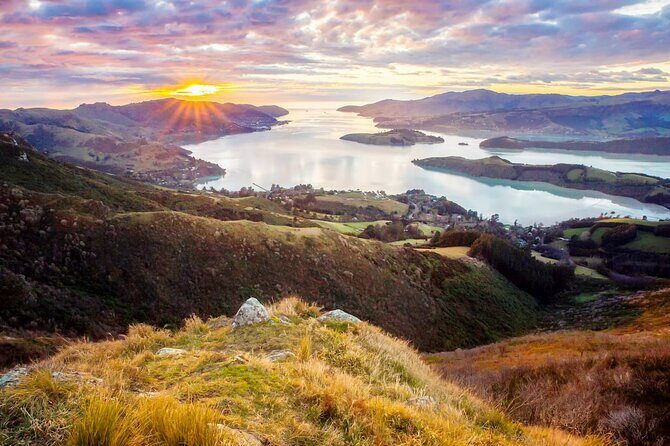 Christchurch City Highlights Half Day Tour - Willowbank Wildlife Reserve: where the tour turns from city to nature