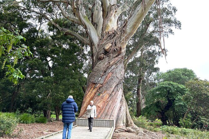 Christchurch City Top Sights Half Day Tour(Small Group Tour) - Guide quality and the value of the “small-group” promise