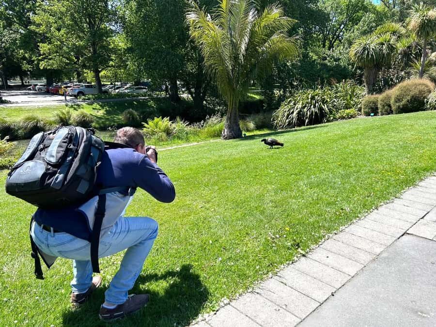 Christchurch City Top Spots Half Day Tour(Small Group Tour) - Price and value: what NZ$119 really buys you
