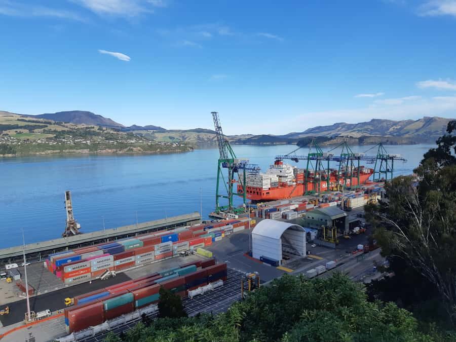 Christchurch: Godley Head & Lyttelton Guided Walking Tour - Wildlife and History in One Walk: How to Enjoy Both Without Stress