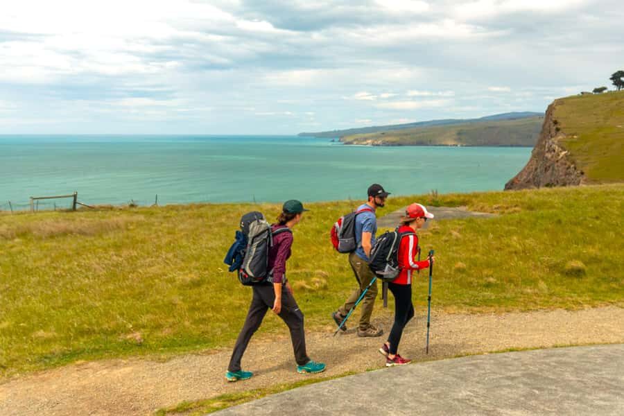Christchurch: Godley Head & Lyttelton Guided Walking Tour - Godley Head Walking Loop: Views, WWII Remnants, and Penguin Chance
