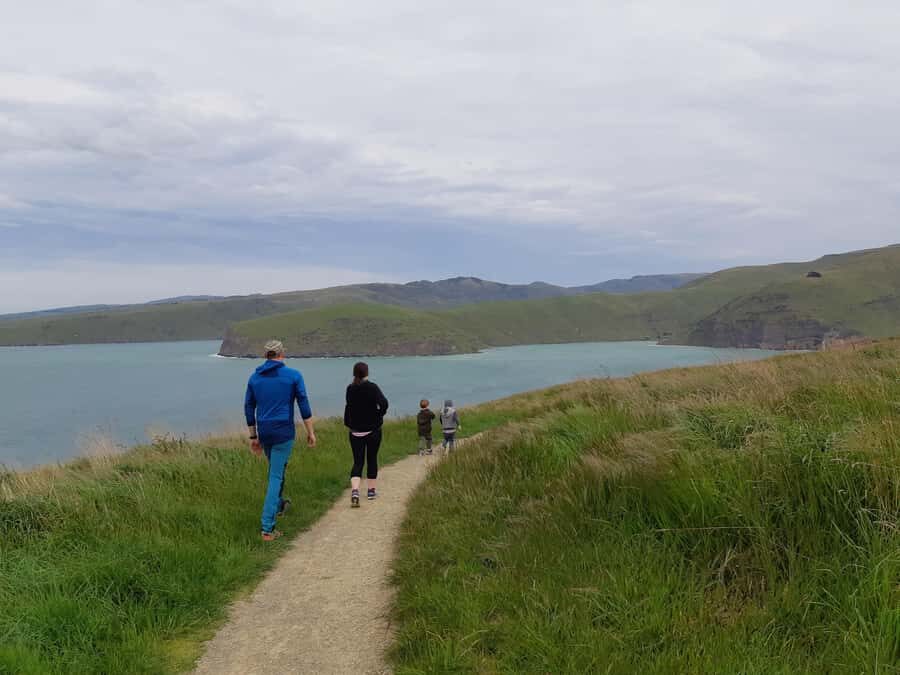 Christchurch: Godley Head & Lyttelton Guided Walking Tour - Returning via Timeball, Sumner, and the Estuary