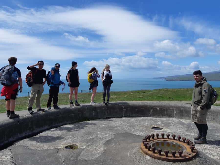 Christchurch: Godley Head & Lyttelton Guided Walking Tour - Half-Day vs Full-Day: Pick the Right Effort Level