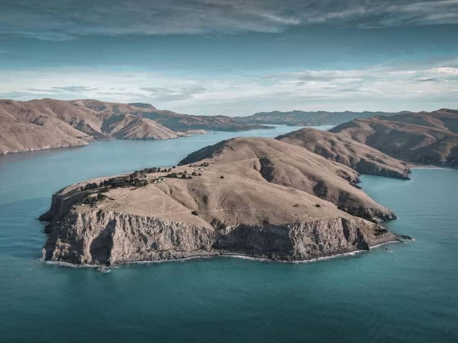 Christchurch: Godley Head & Lyttelton Guided Walking Tour - What to Bring (and What Can Ruin the Day)