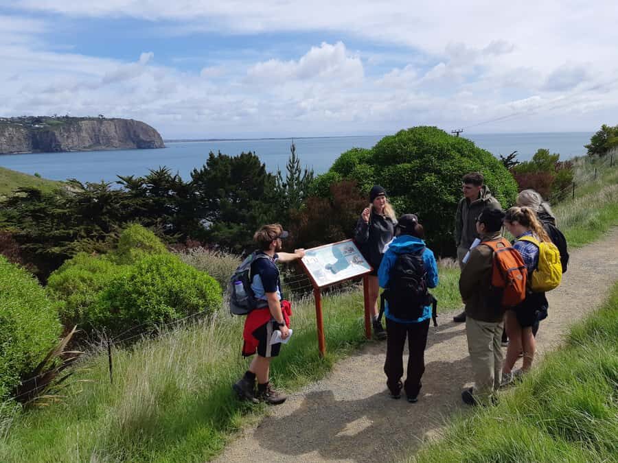 Christchurch: Godley Head & Lyttelton Guided Walking Tour - Port Hills Lookouts and Sumner Morning Tea