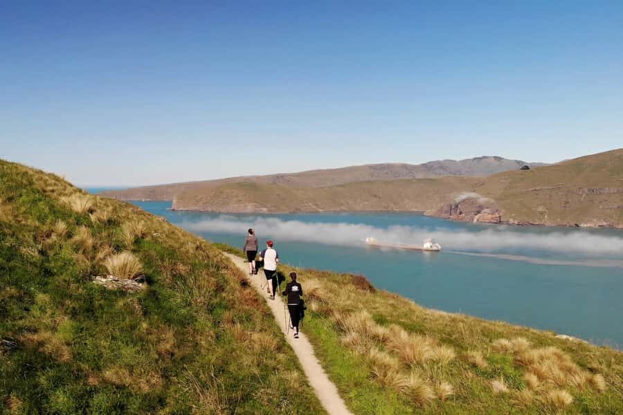 Christchurch: Guided Crater Rim Walk with Coastal Scenery - Key things I’d circle on your map