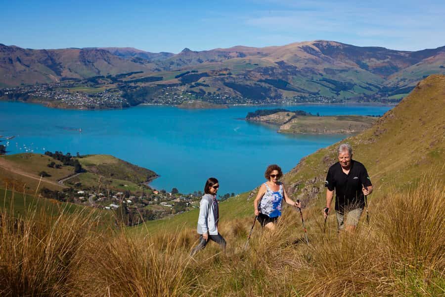 Christchurch: Guided Crater Rim Walk with Coastal Scenery - Sumner beach coffee stop: a small pause that makes the hike easier