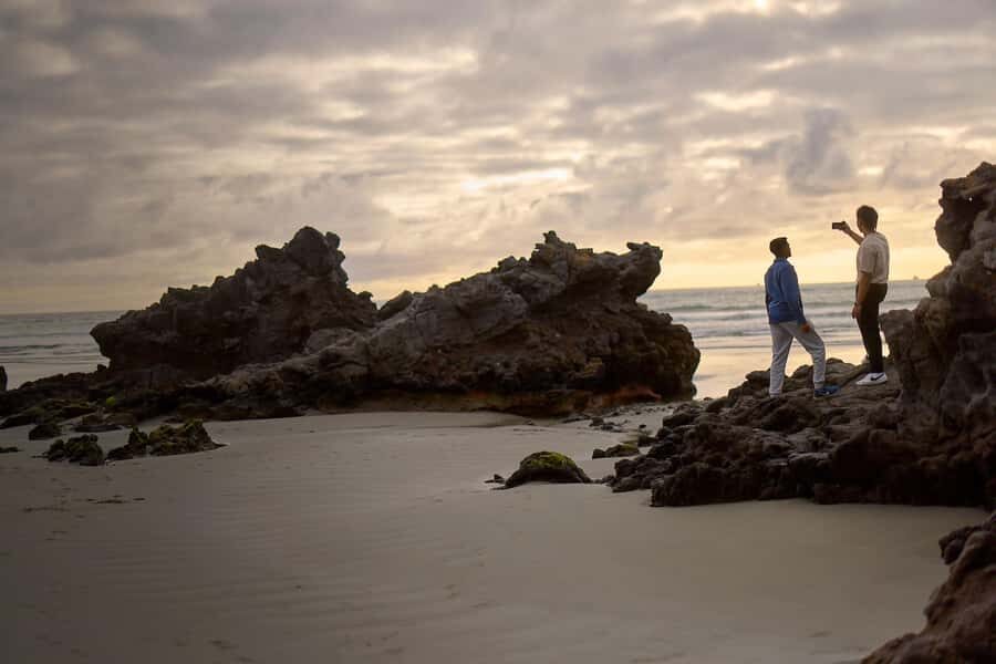 Christchurch: Guided Crater Rim Walk with Coastal Scenery - Godley Head loop: crater rim track plus WWII-era sites