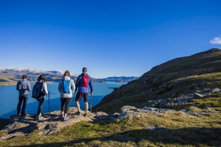 Christchurch: Guided Crater Rim Walk with Coastal Scenery - Viewpoints and photo breaks: how the day stays paced